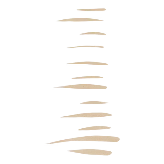 Holy Strokes Micro-Fine Brow Pen