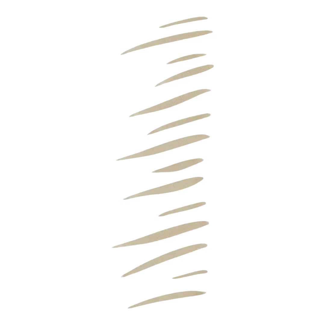 Holy Strokes Micro-Fine Brow Pen