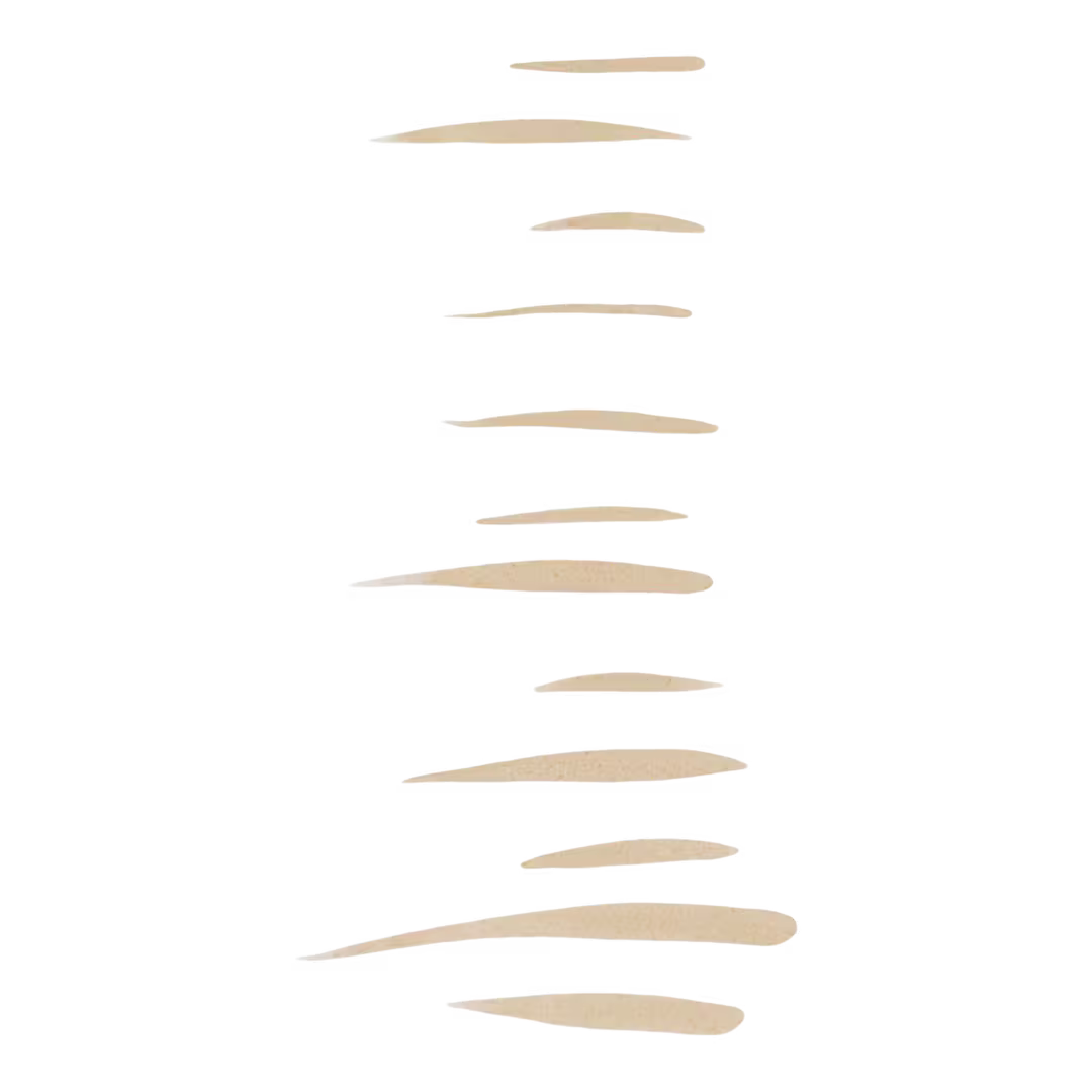 Holy Strokes Micro-Fine Brow Pen