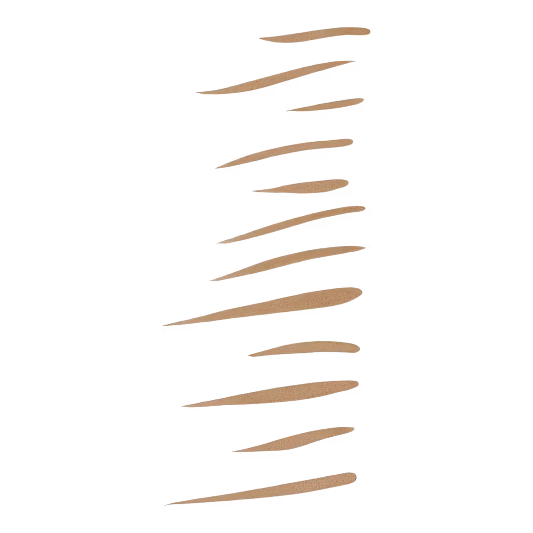 Holy Strokes Micro-Fine Brow Pen