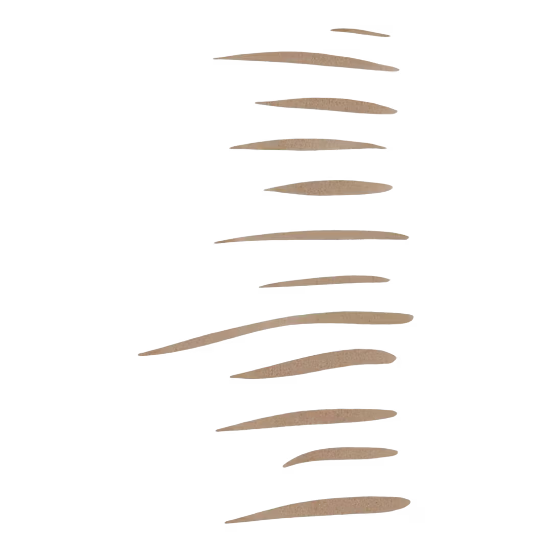 Holy Strokes Micro-Fine Brow Pen