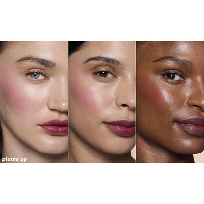 Sheer for it Blush Lip + Cheek tint